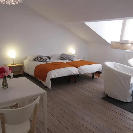 Ze Agency Apartments Liege 公寓 列日